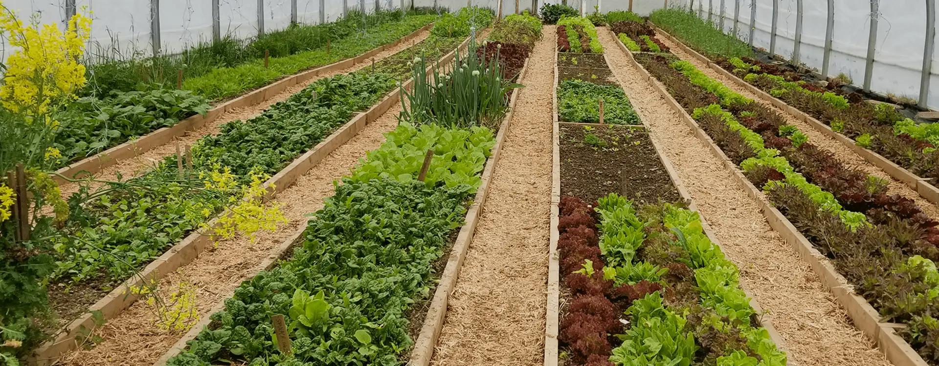 Cochrane Family Farm