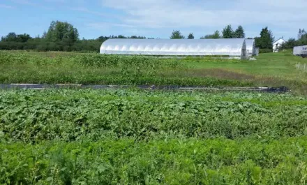 Cochrane Family Farm