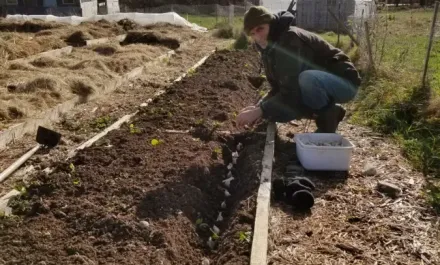 Cochrane Family Farm