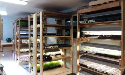 Cochrane Family Farm