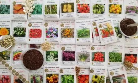 Cochrane Family Farm