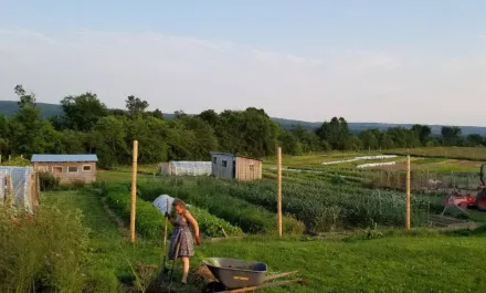 Cochrane Family Farm