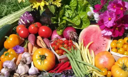 Cochrane Family Farm