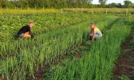 Cochrane Family Farm