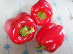 pepperkingofthenorth