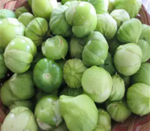tomatillo-toma-verde
