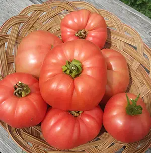 tomatogrannycantrellgermanred